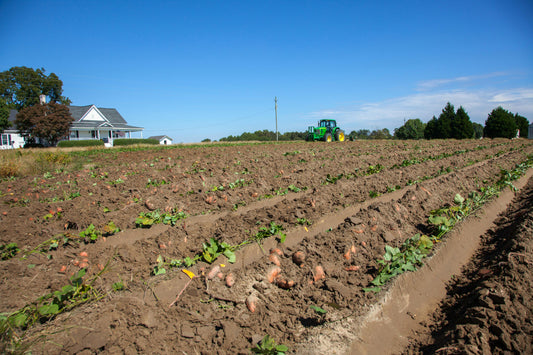 Calling All Alaska Farmers – Let’s Grow Together