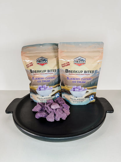Blueberry Custard Ice Cream (Individual)